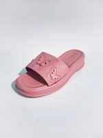 Butterfly Cover Slides